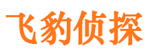 武城外遇调查取证